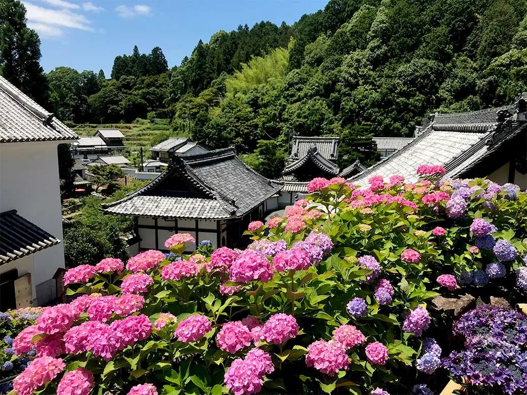 🏯 청정광사(쇼조코지) (유행사(유교지)) 이미지 8